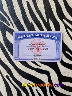 USA SSN photolook zebra background